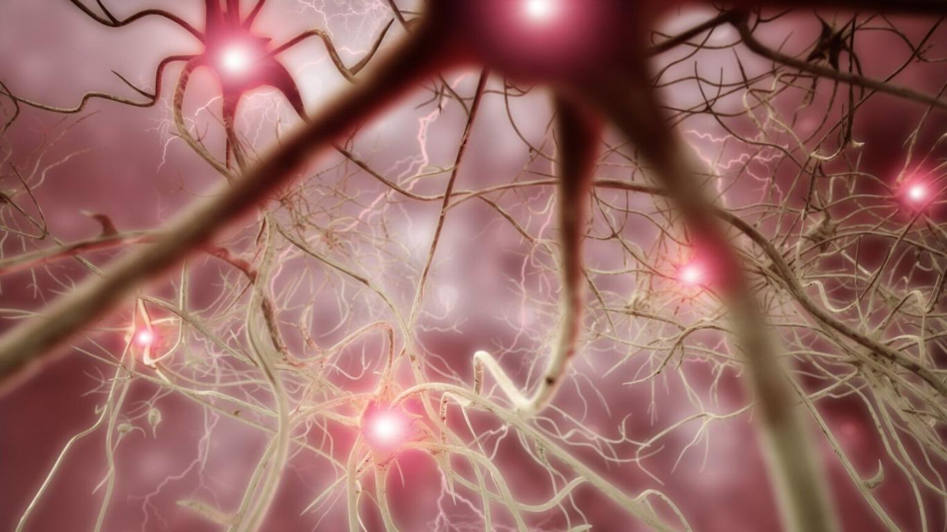 Home Health Neuroscience Treatment? Brain