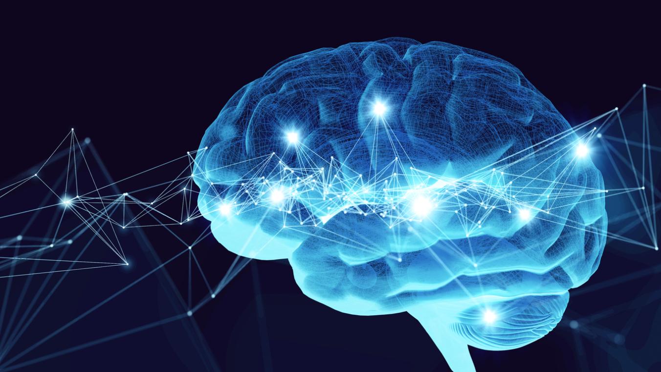 Human Neuroscience Are To Behavior?