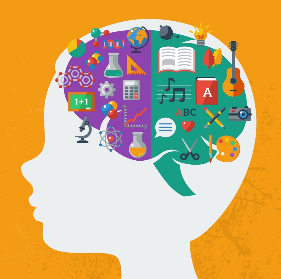 How Can We Use Brain Insights To Create More Effective Learning And Training Programs?