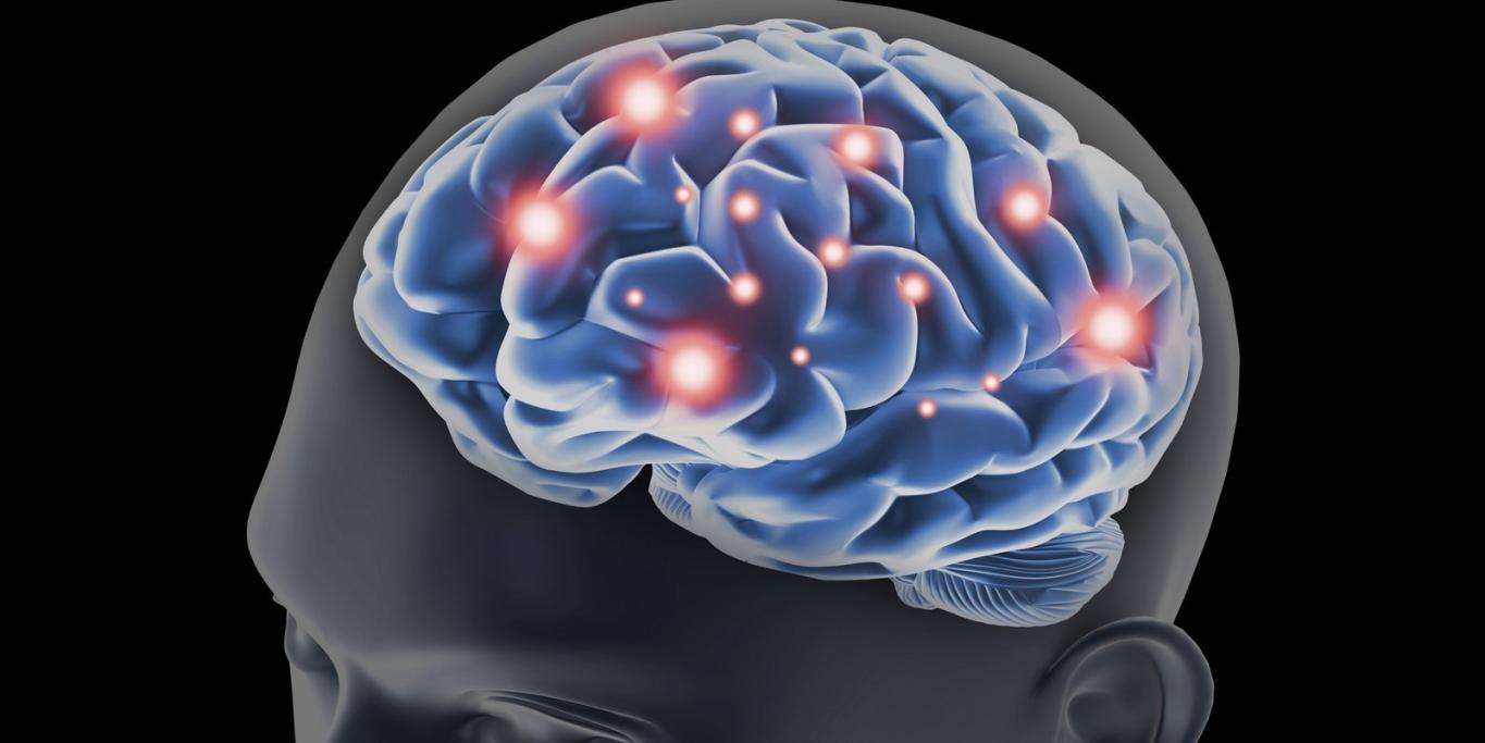 Brain Can Be Imaging Neuroscience