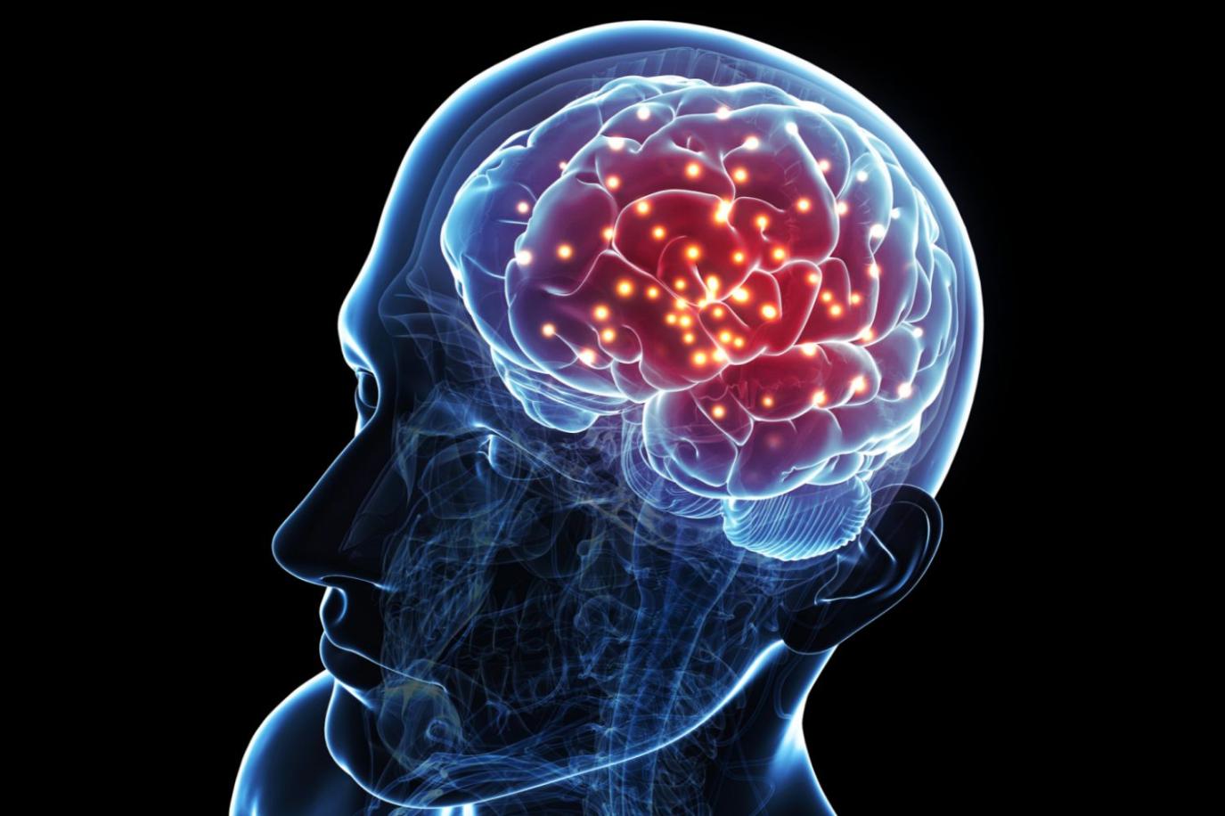 Of Brain? Engineers Neuroscience Trauma What