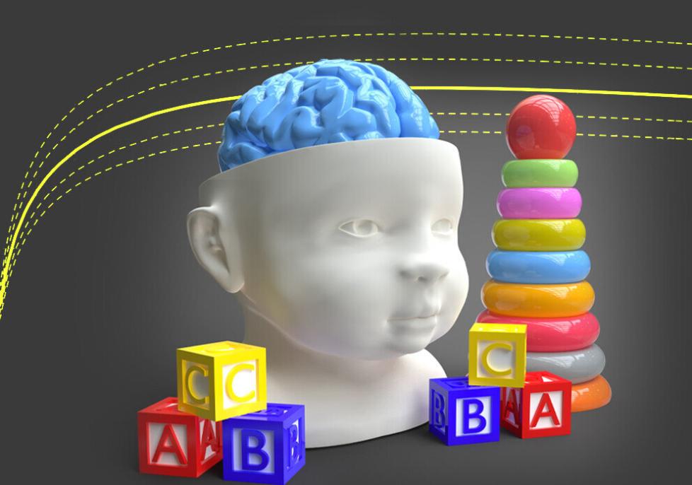 What Are the Key Stages of Brain Development and How Do They Affect Me?